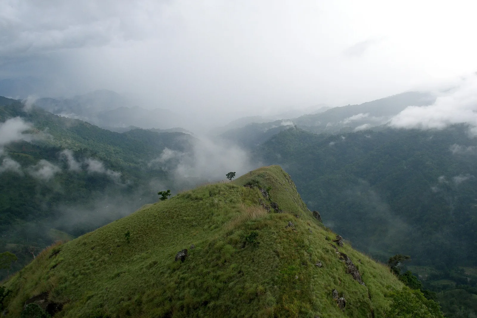 Green mountain scenery and tea country near Ella, Sri Lanka