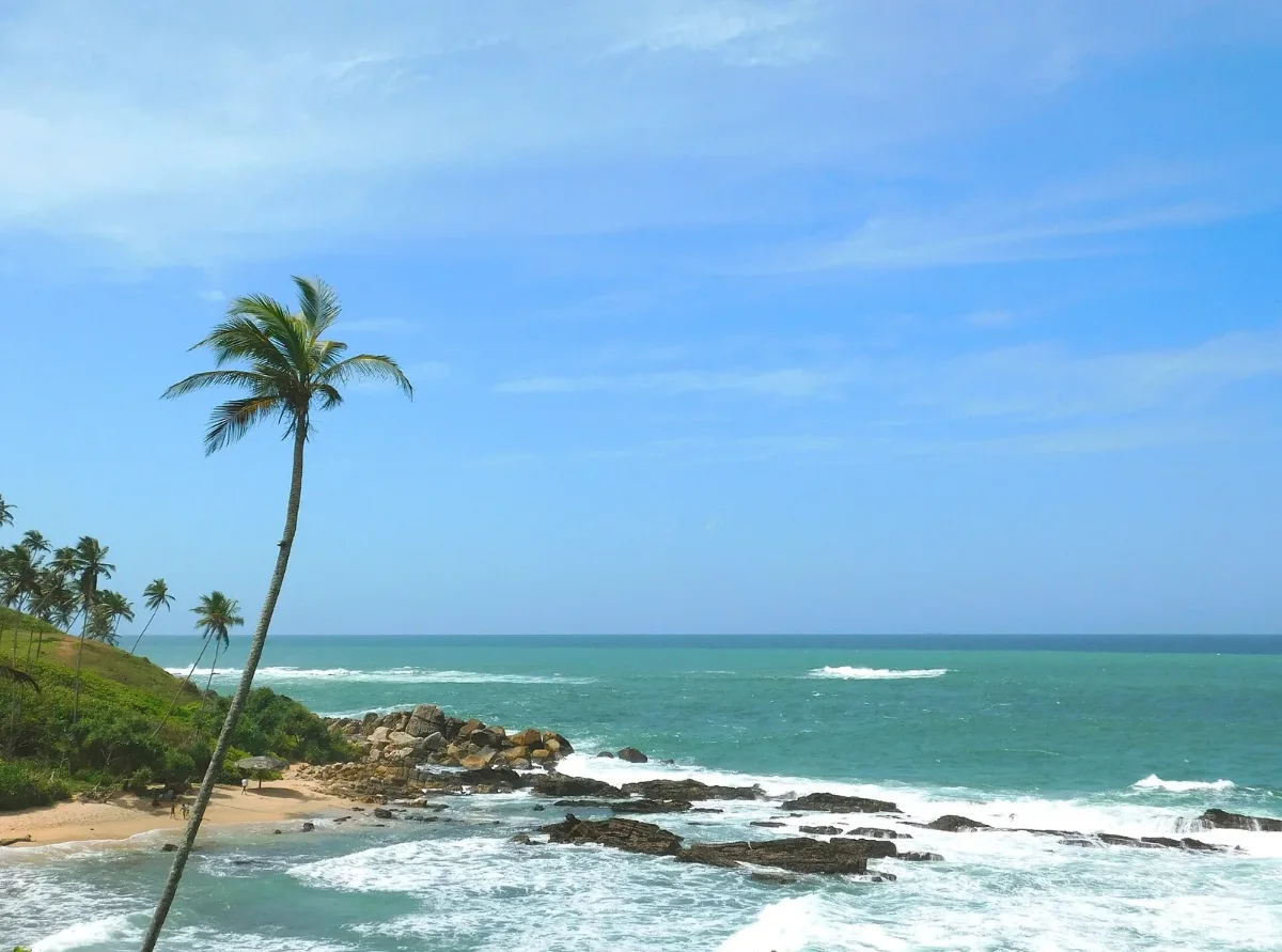 Tropical southern coast of Sri Lanka