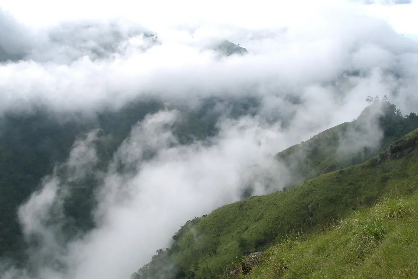 Sri Lankan tea country and rolling highland scenery